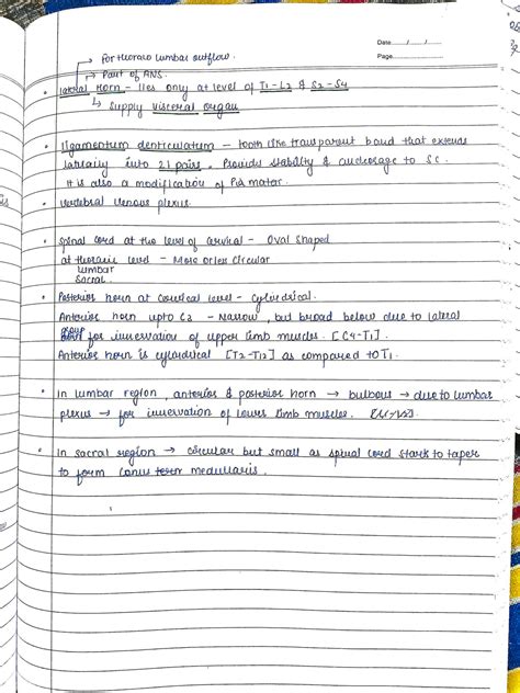 Solution Neuroanatomy Mbbs Handwritten Notes Studypool