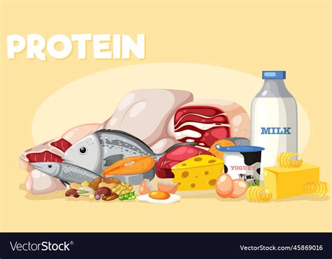 Protein Foods Clipart