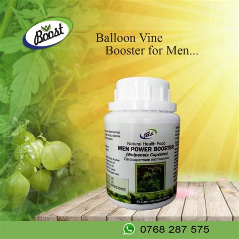 Men Power Booster Testosterone Booster Increase Sperm Love In A Puffballoon Vine