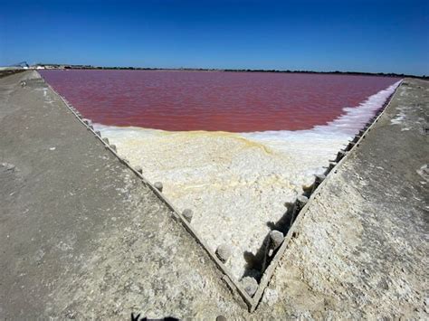 Premium Photo | Red salt lake