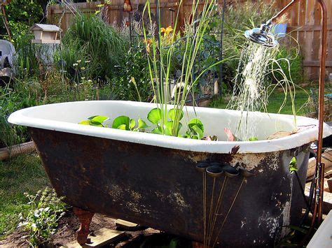 15 Bathtub Pond Ideas Water Garden Backyard Old Bathtub