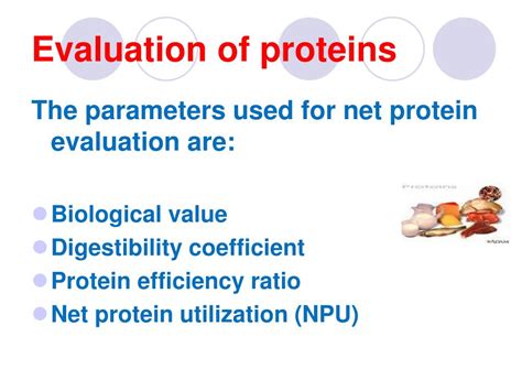 PPT PROTEINS Dr Mervat Salah Dept Of Nutrition PowerPoint