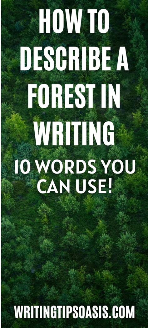 How To Describe A Forest In A Story Writing Tips Oasis A Website