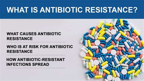 What is antibiotic resistance? - bionova