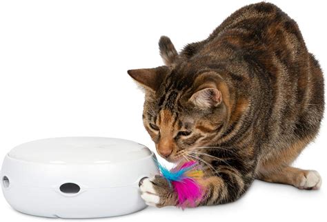 Top 9 Smart Home Cat Toy - Your Kitchen