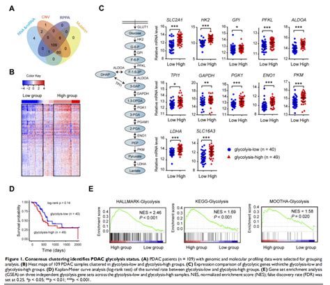 胰腺导管腺癌pdac：首次发现参与有氧糖酵解调节的lncrna 行业新闻 空间多组学分析 医学实验外包 动物实验外包 细胞实验外包「东极生物」