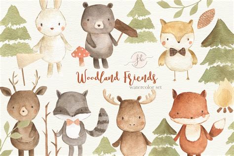 Woodland Friends Animal Illustrations Creative Market