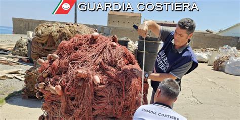 Pesce Non Tracciato E Una Rete Irregolare Multe Della Guardia Costiera