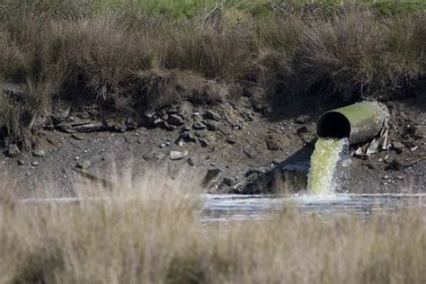 wastewater treatment effluent