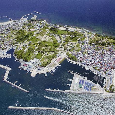 離島を満喫！海の幸ランチ付き1day島旅in日間賀島♪お食事は西港から徒歩で行ける旅館大海老♪ プラン一覧 旅ろっ！愛知 ツウな体験・遊び・観光プログラム予約サイト