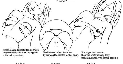 How To Draw The Breasts The Shape Of The Breasts When Lying Face Up