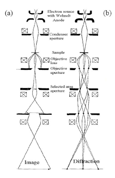 A Imaging And B Diffraction Mode Of The Transmission Electron