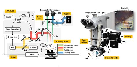 Evolving the surgical microscope