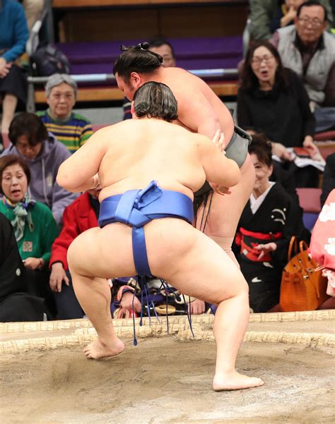 大の里が勝ち越し決め8勝3敗 再び十両優勝争いのトップに「集中して臨んだ」前日の相撲反省し 大相撲写真ニュース 日刊スポーツ