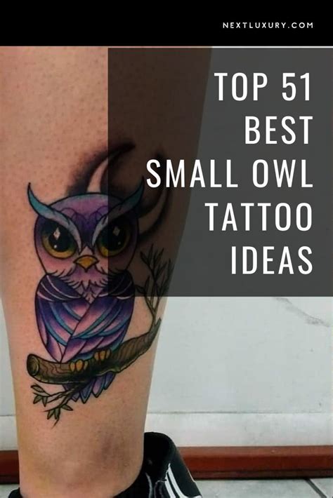 50 Amazing Small Owl Tattoo Ideas 2024 Inspiration Guide Owl Tattoo