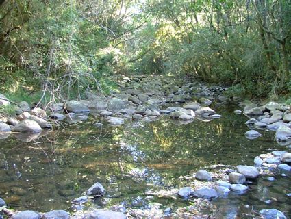 The River Health Programme Provincial Initiatives Eastern Cape