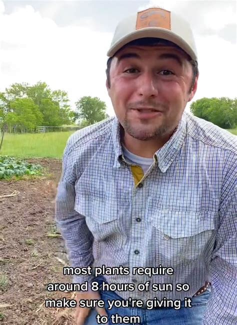 Je Suis Un Agriculteur Erreurs Que Font Les Jardiniers D Butants Y