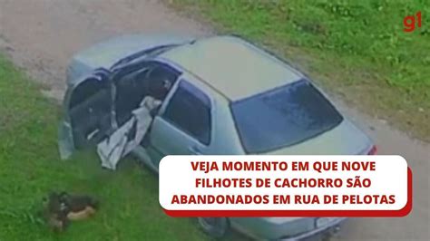 Veja Momento Em Que Filhotes De Cachorro S O Abandonados Rua De