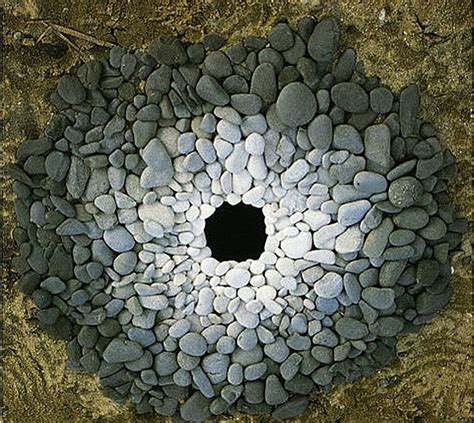 Guadalupana Andy Goldsworthy El Artista De La Naturaleza