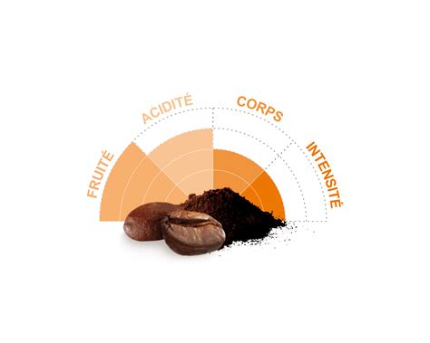 Pur arabica Pérou Moulu biologique et équitable 500g I Café Michel