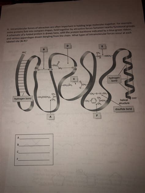 Solved 4 Intramolecular Forces Of Attraction Are Often Chegg