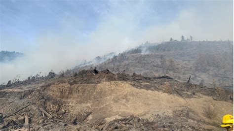 Nakia Creek Fire Near Vancouver Breaks Containment Evacuations Ordered