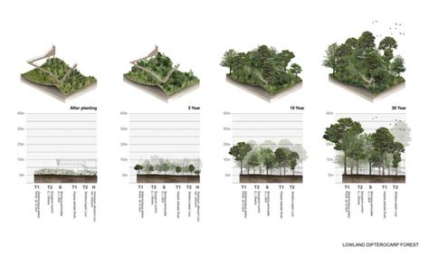 The Metro Forest Project By Tk Studio — Landscape Architecture Platform