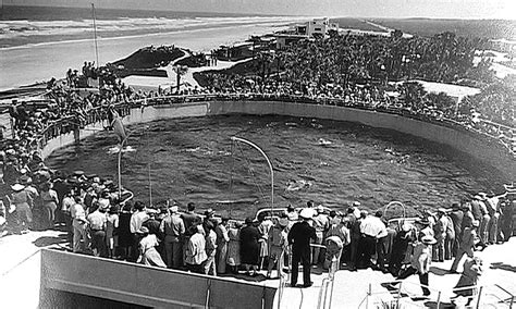 Marineland History | Visit St Augustine