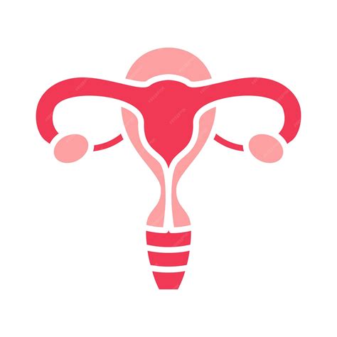 Premium Vector Uterus Set Icon Uterus Ovaries Fallopian Tubes Female