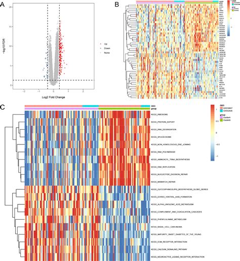 Figure 3 From Development And Validation Of A Diagnostic Model Based On