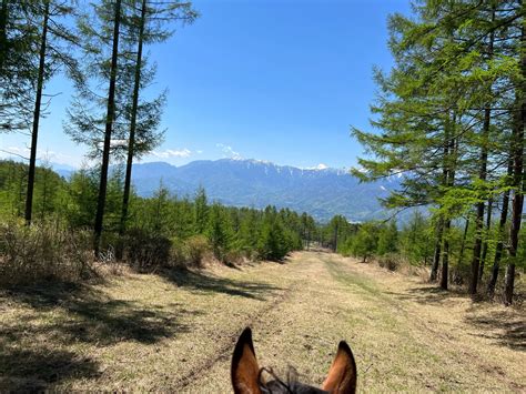 外乗 カナディアンキャンプ乗馬クラブ 八ヶ岳