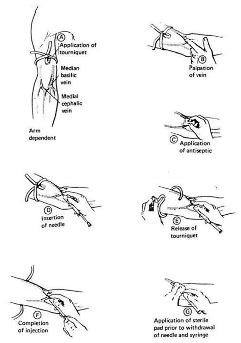 Venepuncture Training Course Completed Medical School Essentials