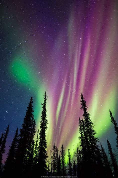 Alaska Photos and Stock Photography | Auroras boreales, Wallpaper abstractos, Paisaje de fantasía