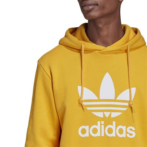 Sweatshirt à Capuche Adidas Originals Adicolor Classics Trefoil