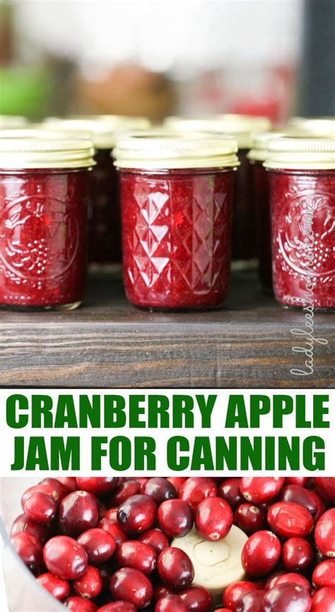 Delicious Cranberry Apple Jam Recipe