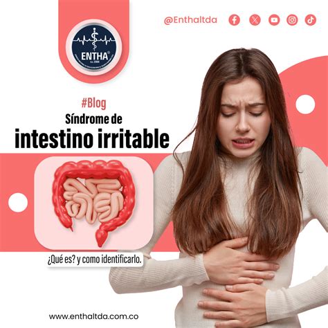 Síndrome De Intestino Irritable ¿qué Es Y Como Identificarlo Entha