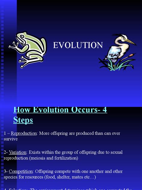 Darwin Evolution | PDF | Evolution | Natural Selection