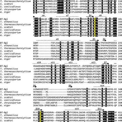 Multiple Amino Acid Sequence Alignment Of DT Bgl And GH1 BGL Enzymes