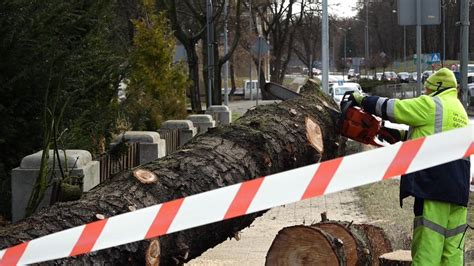 Wichura Zerwa A Dachy I Przewr Ci A Drzewa