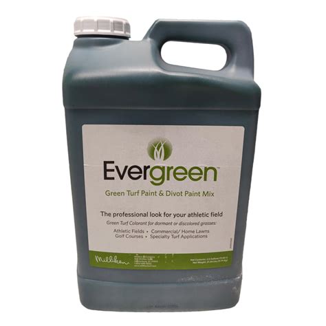 Evergreen Viva Turf Paint 9 5 L KSN Green Center