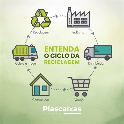 O Ciclo da Reciclagem: Passo a Passo