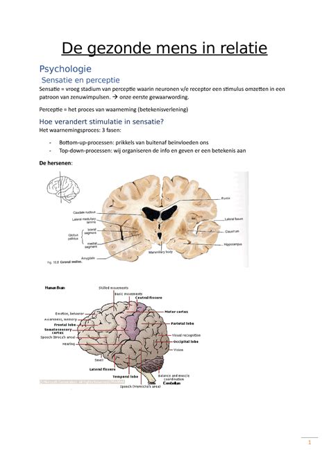 De Gezonde Mens In Relatie 1 De Gezonde Mens In Relatie Psychologie