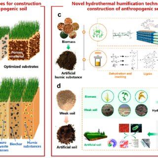 Current strategies and novel hydrothermal humification for construction ...