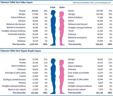 Kansere Ba L Ya Am Kay Plar Azald Abd Kanser Statistikleri