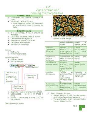 Mp Lec Microbiology And Parasitology Lecture Notes Microbiology And