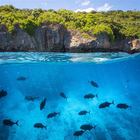 Christmas Island National Park - zwiedzanie i praktyczne informacje