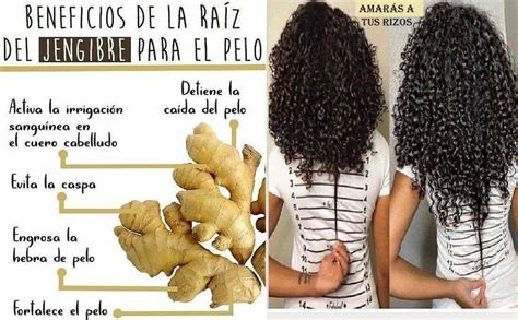 Beneficios De La Ra Z De Jengibre Para El Cabello