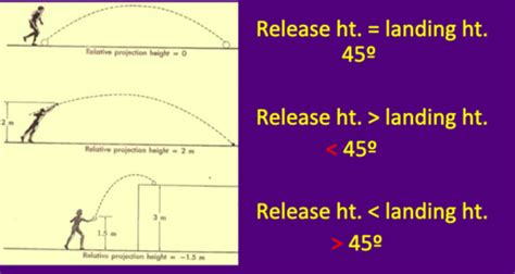 Projectile Motion Nf Flight Paths Flashcards Quizlet