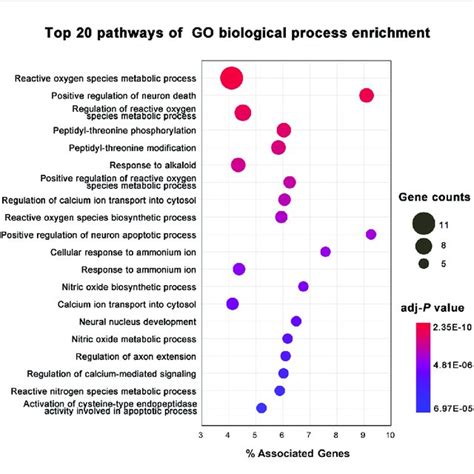 Gene Ontology GO Biological Process Enrichment Analysis Of Targets