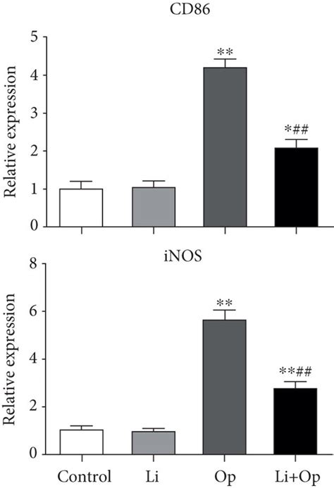 Effects of GSK 3β inhibition on the expression of M1 and M2 markers in